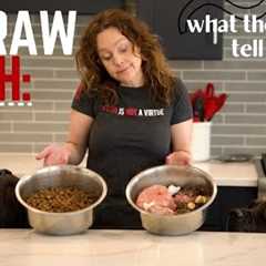 Raw Food Diet For Dogs | 5 Undeniable Truths Experts Won't Tell You | Raw Dog Food For BEGINNERS