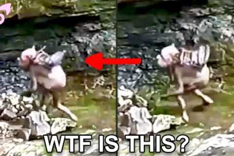 Creepy Stuff Caught on Camera You Won't Believe!