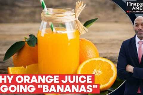 Global Orange Juice Crisis Fueled by Disease and Climate Change | Firstpost America