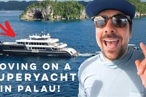 Moving on a LIVE-ABOARD DIVE BOAT in PALAU 😮 [Part 1]