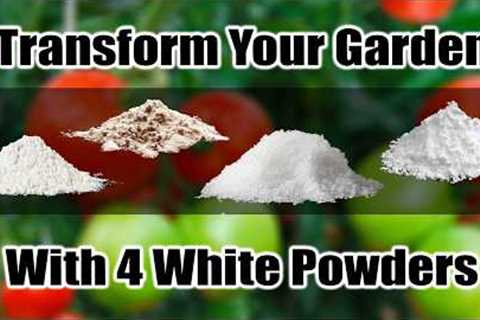4 White Powders to Transform Your Tomatoes &amp; Peppers