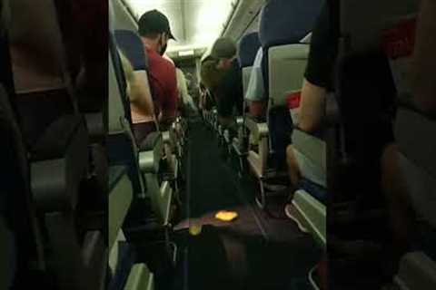 Flight attendants are brilliant! 🤣 #travel  #airplane  #holidayseason  #fails