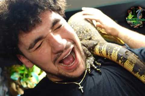 BEST REPTILE ROOM ON YOUTUBE | HOW TO BUILD CUSTOM DIY MONITOR LIZARD PARADISE