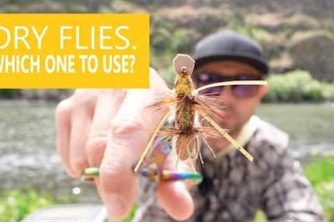 How to Select a Dry Fly // Riverside Chat