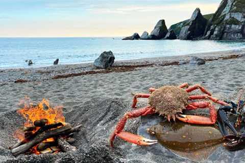 Catching Crabs and Lobsters by hand and Wild Beach Cooking!