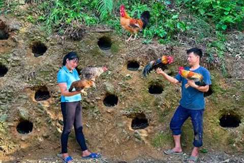 Make more nests for the hens to lay eggs. Villagers came to help DAU &amp; TU move the warehouse