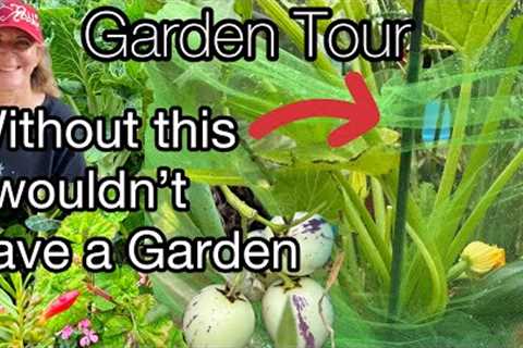 Garden Tour Growing TIPS in Raised Bed Gardening, Container Gardening Vegetables &amp; Flowers for..