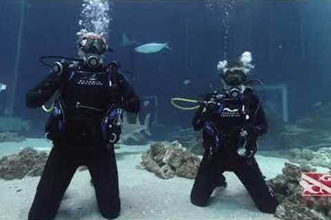 SCUBA DIVING the Georgia Aquarium