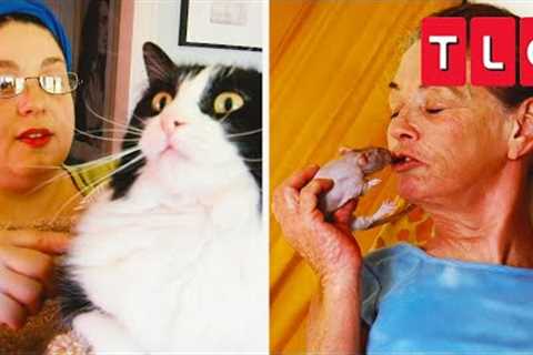 EXTREME Animal Addictions | My Strange Addiction | TLC