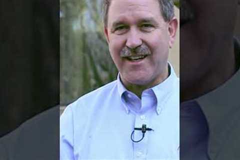 Hubble and James Webb Space Telescopes EP7 | #trending #NASA #ESA #space #shorts