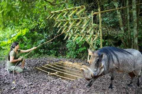 Giant Wild Boar Trap - The Power to Survive Spectacularly/ Multi-day Survival Trip, Part 3