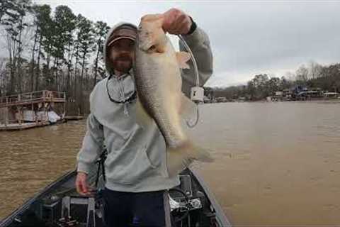 Badin Lake 2024 Fishing with Dad