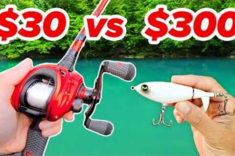 $30 vs $300 Topwater Budget Fishing Challenge (Rod, Reel, Lures)