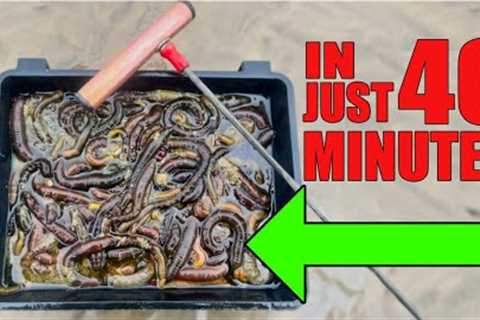 Beginner's Guide to Lugworm Pumping: Simple Tips
