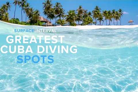The GREATEST Scuba Diving Spots In The World