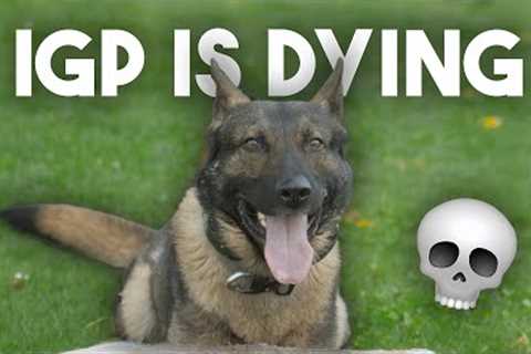 Why IGP Dog Sport is DYING!