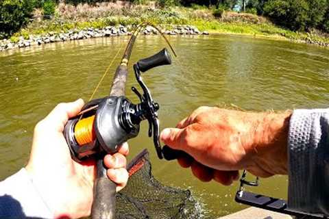 BIG RIVERS Have MONSTER FISH!! (Catch and Cook)