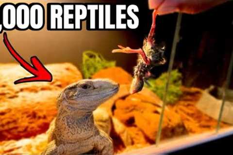FEEDING ALL THE ANIMALS IN THE PET STORE! *TOUR*