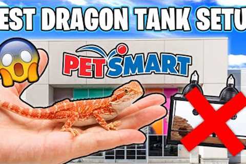Bearded Dragon Setup for Beginners