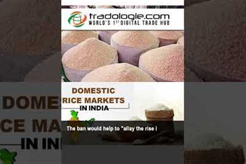 Global Rice Shortage In 2023 To Be Largest In 20 years