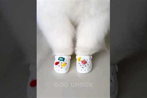 Amazing very cute gadgets 😍 || #shorts #unboxing