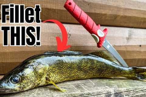 How to Fillet ANY Fish (SIMPLEST Method for BEGINNERS!)