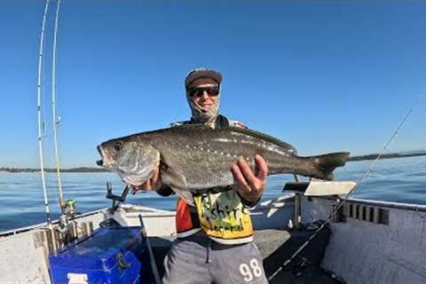 Lure Fishing Beginners Guide (big results)