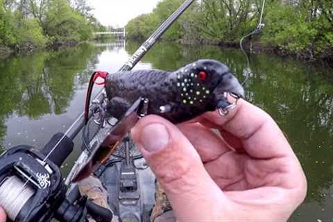 Fishing A Bird Lure For River BEASTS!