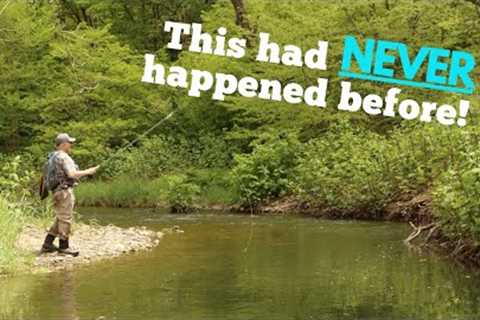 A River Full of Surprises | Fly Fishing for Wild Trout | Central, NY