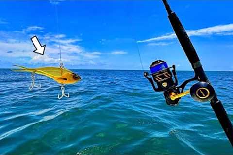 Solo Fishing Vibe Jigs 100' Deep in the Gulf When THIS Happened...