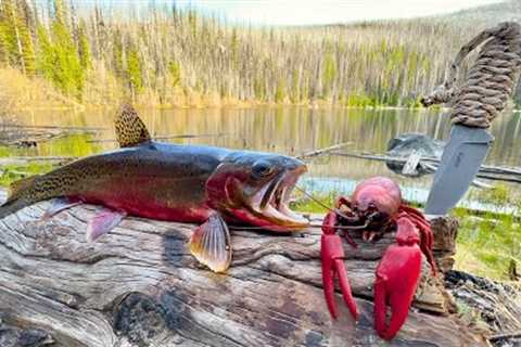 SOLO Mountain Crawfish &amp; Trout Fishing!!! (Catch &amp; Cook)