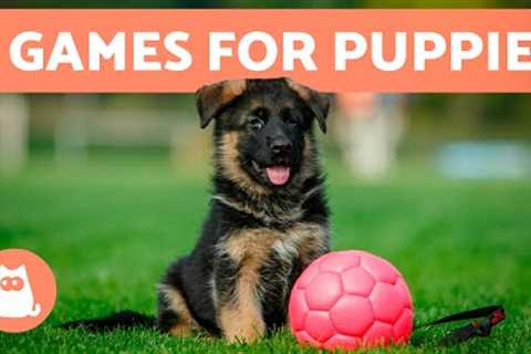 The BEST WAY to PLAY With a PUPPY 🐶 (5 Games for Puppies)