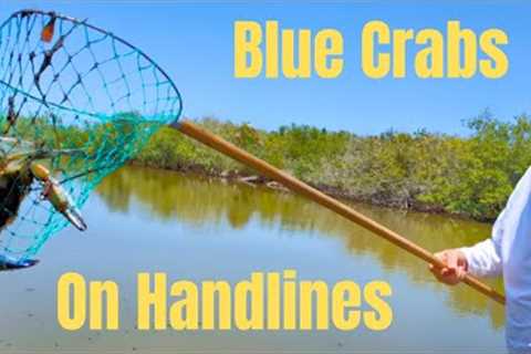 Catch And Cook Blue Crabs In Florida