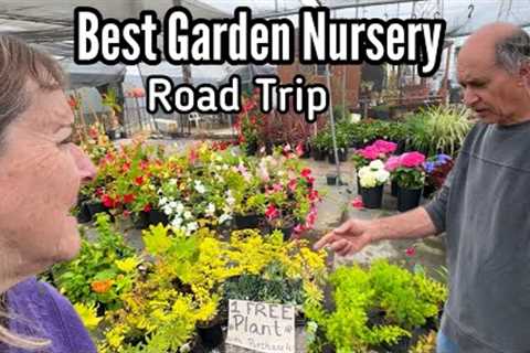 Road Trip to Best Nursery Tons of Vegetable Starts, Houseplants, Flowers, Fruit Trees &amp; FREE..