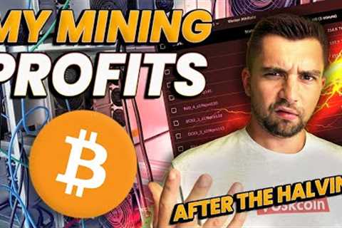 How Much Am I Earning Mining Bitcoin in 2024 -- ITS BAD