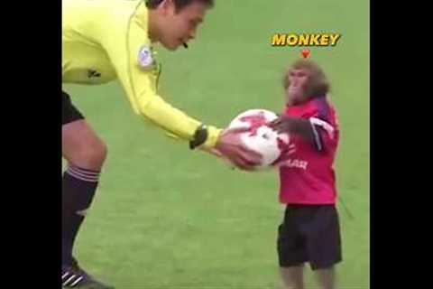 Rare Moments with Animals 🤯#8