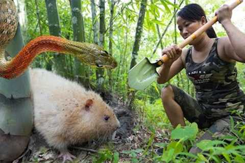 Unexpected Skills: Catching Fish, Shooting Wild Chickens, Catching White-Furred Bamboo Rat