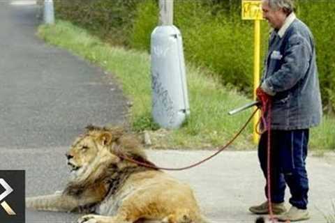 10 EXOTIC Pets That Should Be BANNED