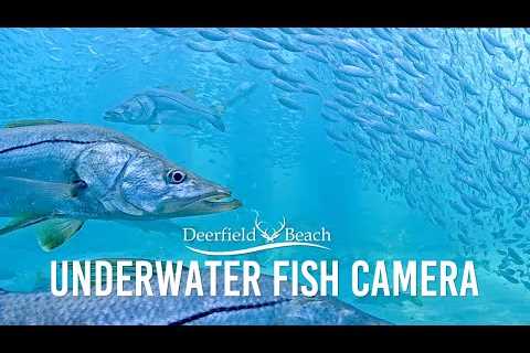 Underwater Camera - Deerfield Beach, Florida