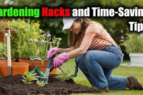Gardening Hacks and Time-Saving Tips: Gardening Made Easy