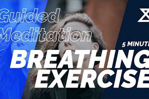 Quick and Relaxing Breathing Exercise (5 Minute Guided Meditation)