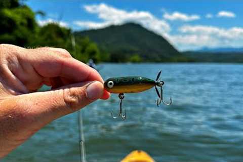 Big Fish on Small Lures!!  Cicada Hatch