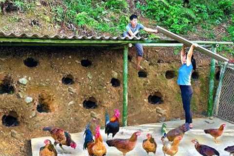 Restore the house for the laying hens. Make sponge cake from chicken eggs and enjoy.