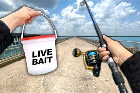 Fishing an Abandoned Bridge.. Eating Whatever I Catch (Catch and Cook)