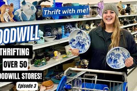 THE GOODWILL STORES WERE LOADED! THRIFTING OVER 50+ GOODWILL THRIFT STORES! Thrift With Me Episode 3