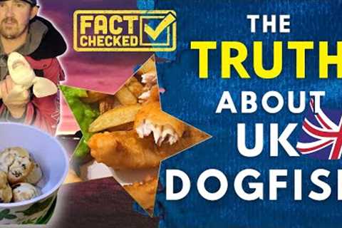 The Best Fish and Chips Ever! EAT DOG FISH PLEASE | How to Catch &amp; Cook The UK Shark Mini..