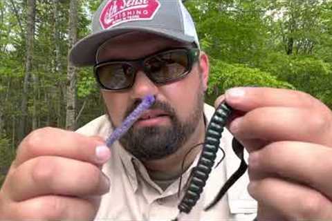 BEST WAY TO ADD SCENT TO ANY SOFT PLASTIC BAIT. Worms, flukes, swim baits, craws, and creatures