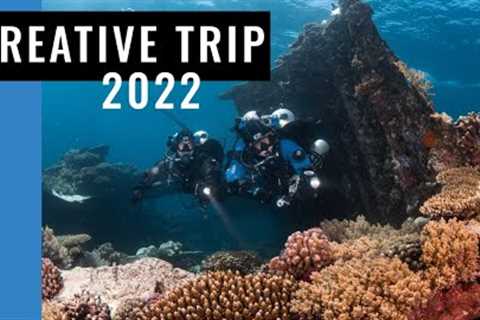 Scuba Diving Red Sea, Egypt - Creative Trip 2022