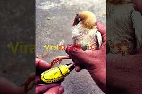 😛🤩Daily💥💣💥life😶‍🌫️🥳🤠🚵‍♀️🏋‍♂️🛀accidents #shorts #short #reels #children  #trendingshorts ..