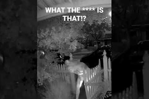 HORRIFYING Doorbell RING Footage Caught on Camera. What the ****!?